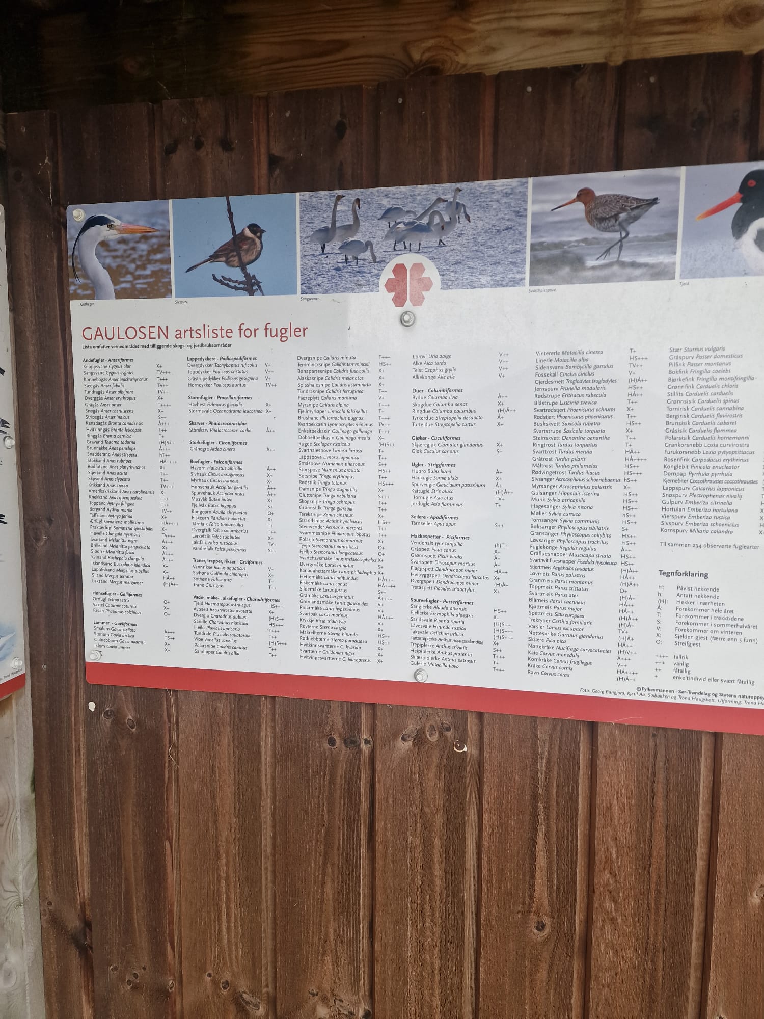 Species Info Board