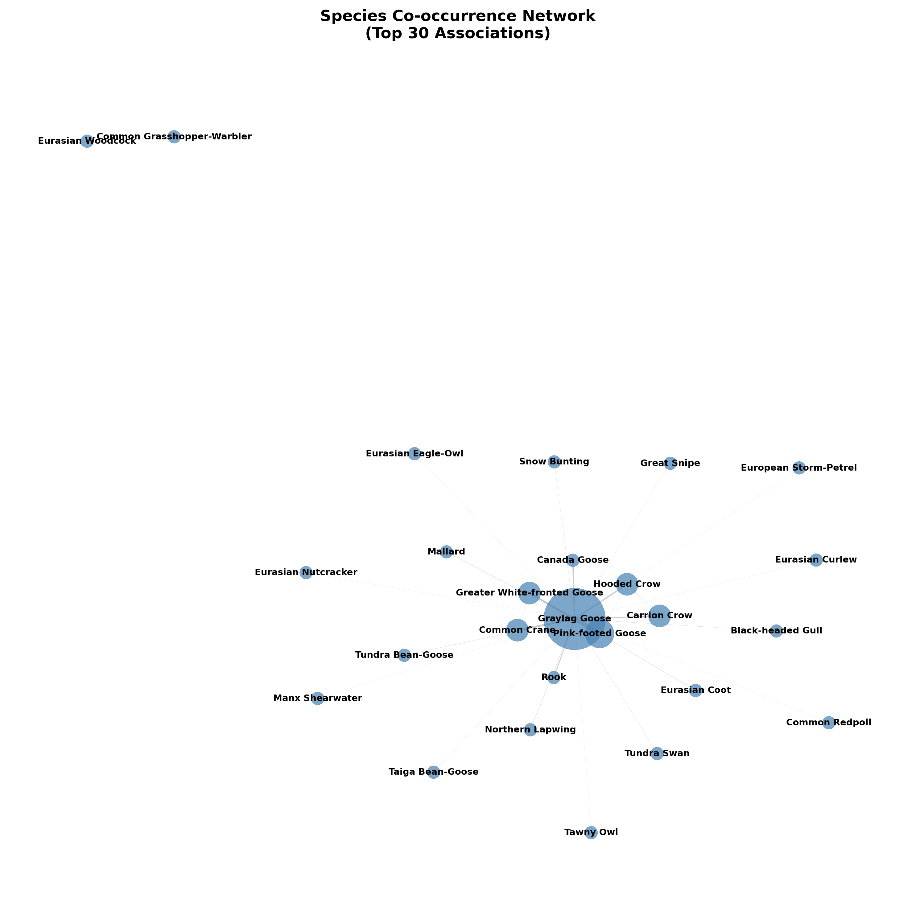 Species co-occurrence network analysis