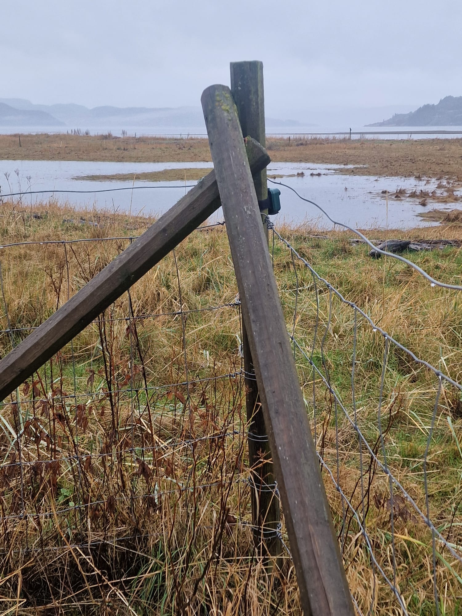 Gaulosen Nature Reserve field recorder deployment