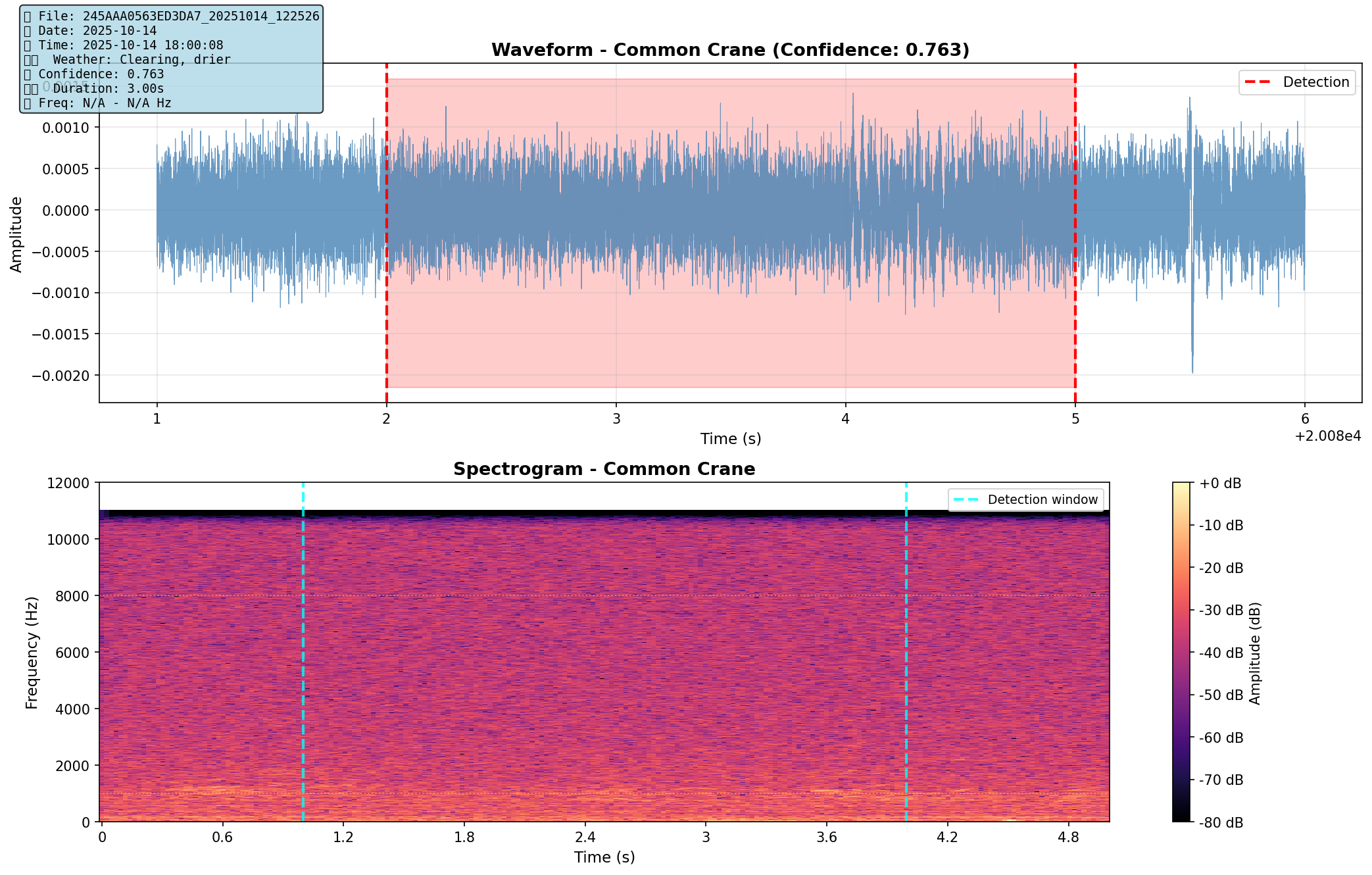 Common crane spectrogram analysis